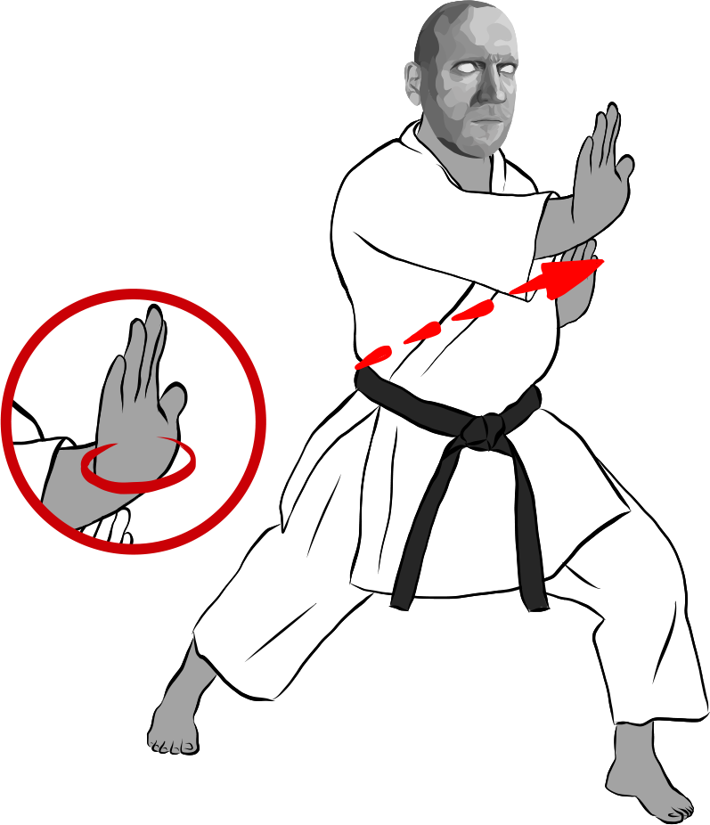 Shou-tei tsuki (Palm Heel Strike)